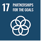 icon sustainability 17