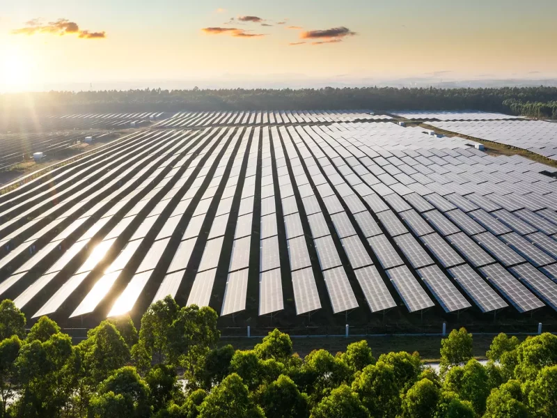 solar panels