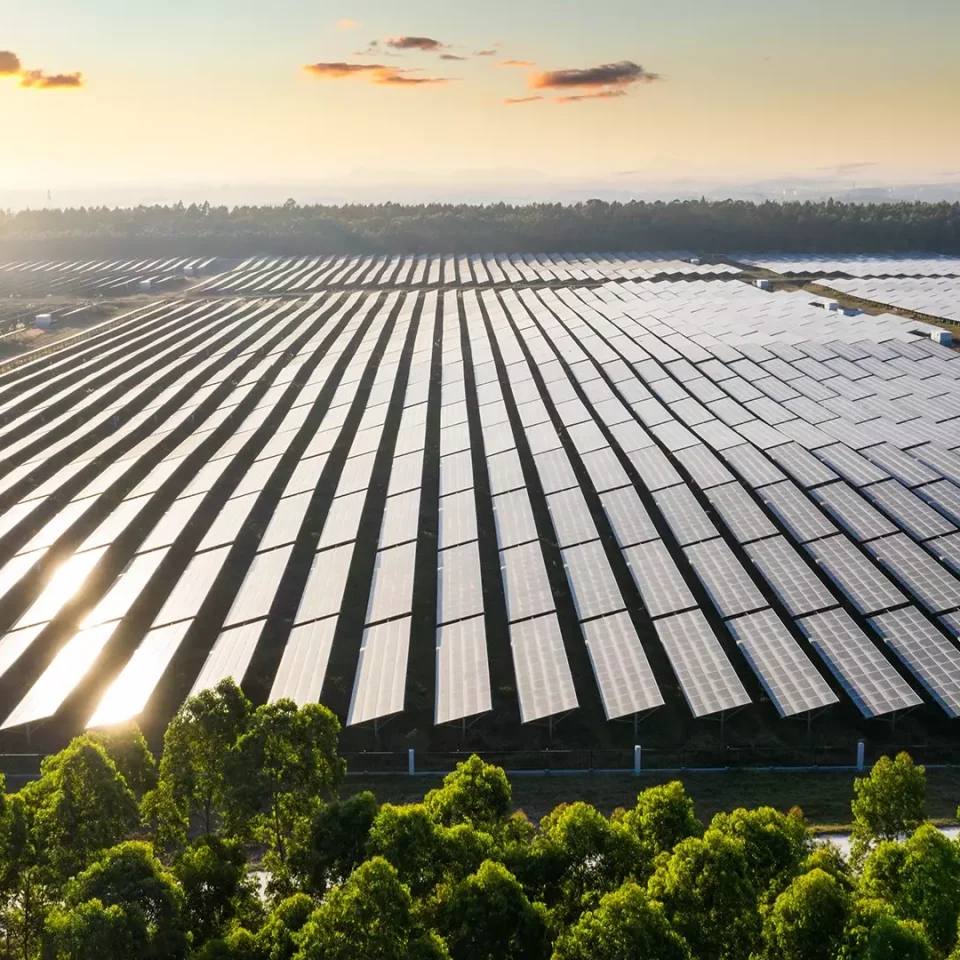 solar panels